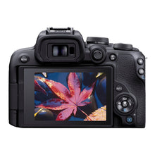 Load image into Gallery viewer, Canon EOS R10 RF-S 18-45mm F4.5-6.3 IS STM Kit Mirrorless Camera