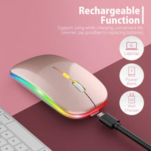 Load image into Gallery viewer, LED Wireless Mouse/Rose Gold