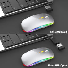 Load image into Gallery viewer, LED Wireless Mouse/Silver