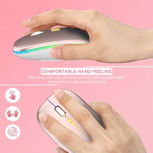 Load image into Gallery viewer, LED Wireless Mouse/Rose Gold