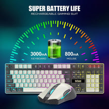 Load image into Gallery viewer, Wireless Gaming Keyboard and Mouse Combo/White-Gray