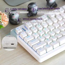 Load image into Gallery viewer, White/Hot Swappable Mechanical Keyboard, Wireless TKL 75% RGB Customizable Backlit Gaming Keyboard