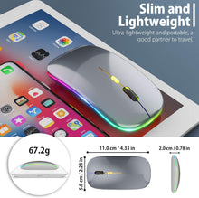 Load image into Gallery viewer, LED Wireless Mouse/Grey