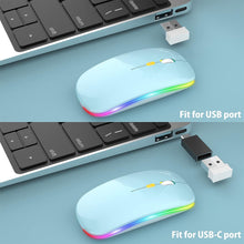 Load image into Gallery viewer, LED Wireless Mouse/Blue
