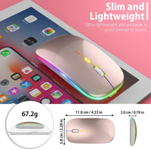 Load image into Gallery viewer, LED Wireless Mouse/Rose Gold
